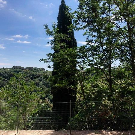 La Casa All'Oliveto Apartment Pitigliano Exterior photo