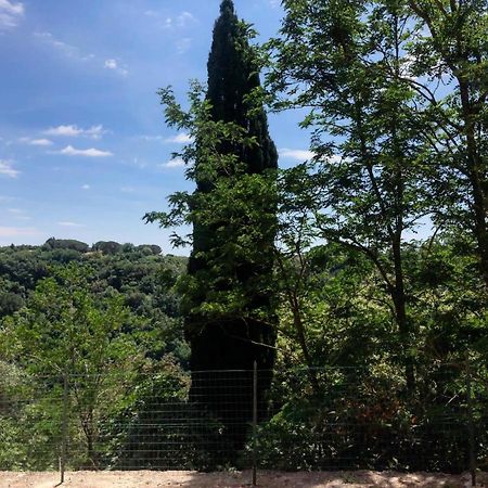 La Casa All'Oliveto Pitigliano Exterior photo