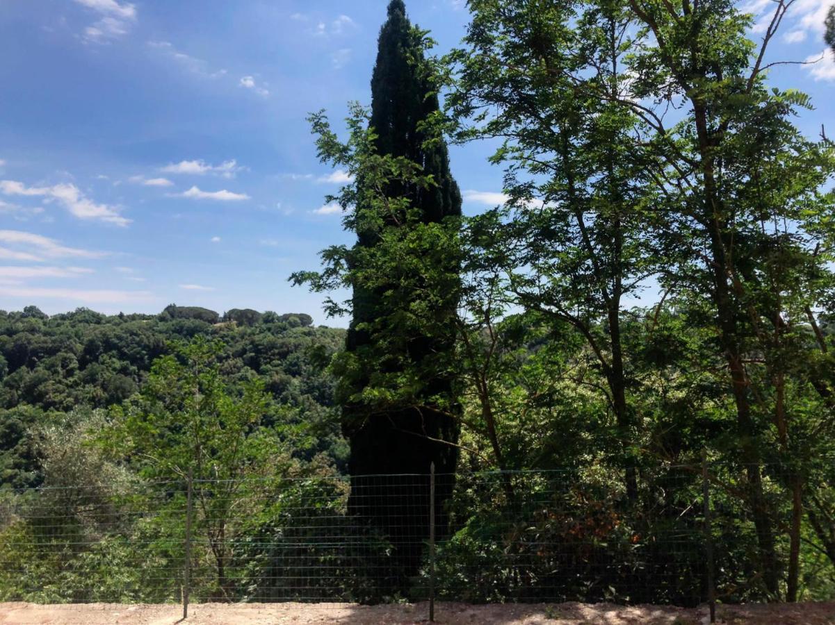 La Casa All'Oliveto Apartment Pitigliano Exterior photo